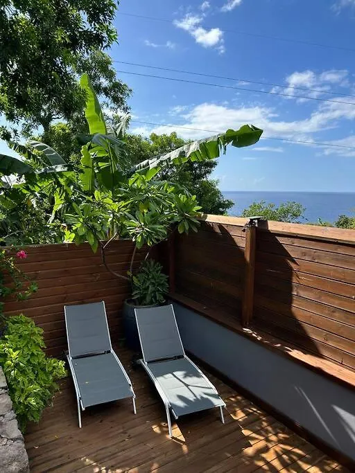 Bungalow, Gite Les Fleurs Du Colibri Буйант