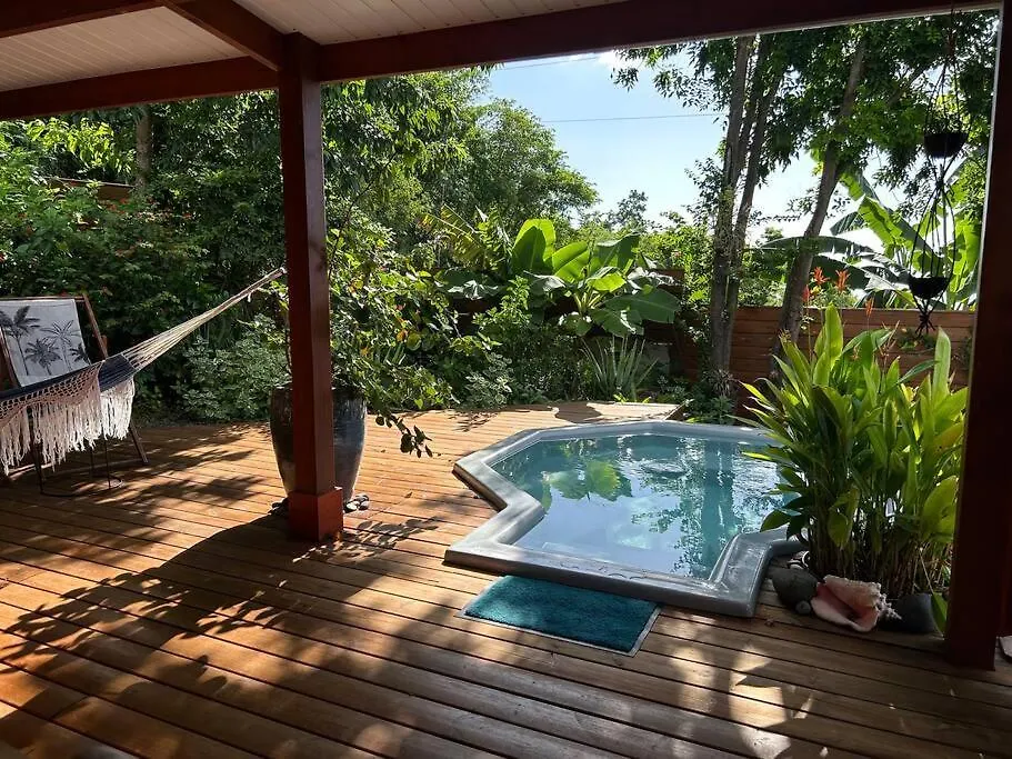 Bungalow, Gite Les Fleurs Du Colibri Буйант 0*,  Гваделупа